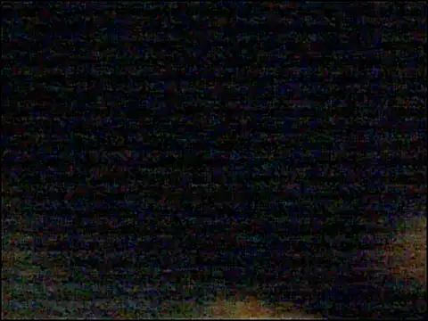 Mghty-cockl88 online show from 27, 12, 2024