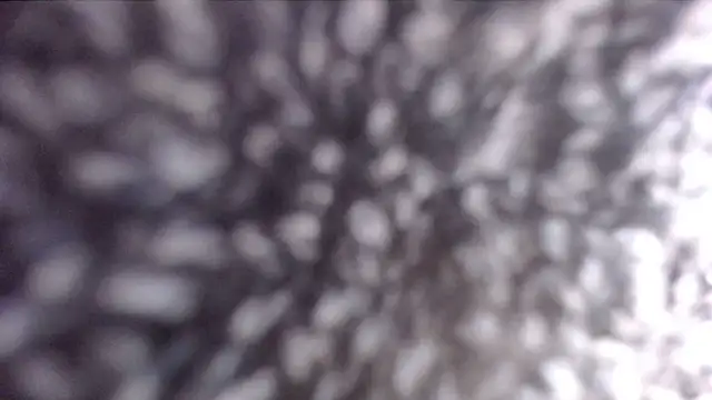 Snapshot of ADRIANNA_FOX chatting on 21, 2, 2025 ADRIANNA FOX online show from 21, 2, 2025
