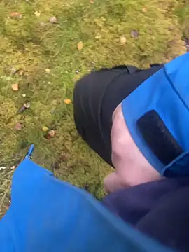 hamstergrabben online show from 29, 10, 2025