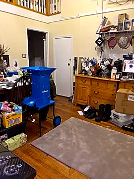 VelvetDiablo online show from 14, 3, 2026