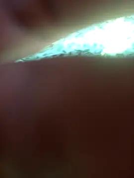 Snapshot of FinableKnee chatting on 24, 9, 2025 FinableKnee online show from 24, 9, 2025