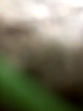 Snapshot of FinableKnee chatting on 6, 10, 2025 FinableKnee online show from 6, 10, 2025