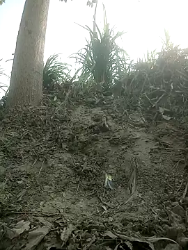 Snapshot of FinableKnee chatting on 15, 10, 2025 FinableKnee online show from 15, 10, 2025