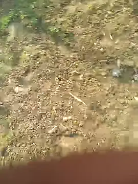 Snapshot of FinableKnee chatting on 27, 10, 2025 FinableKnee online show from 27, 10, 2025