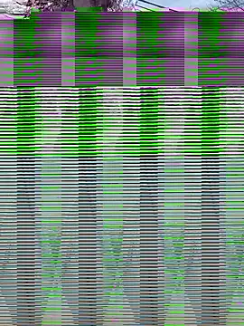 Alicbranca online show from 17, 9, 2025