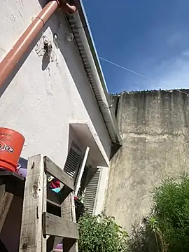 Snapshot of Alicbranca chatting on 26, 2, 2026 Alicbranca online show from 26, 2, 2026