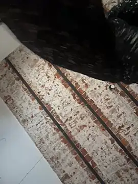 Alicbranca online show from 1, 6, 2026