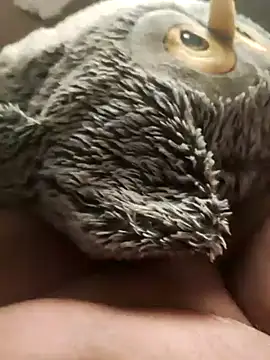 Snapshot of faphouse186582 chatting on 24, 1, 2025 faphouse186582 online show from 24, 1, 2025