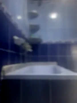 Arabien Pharaoh- online show from 23, 11, 2025