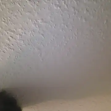 Snapshot of Zauberstab8 chatting on 19, 10, 2025 Zauberstab8 online show from 19, 10, 2025