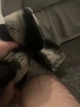 Snapshot of Furdale chatting on 7, 1, 2025 Furdale online show from 7, 1, 2025