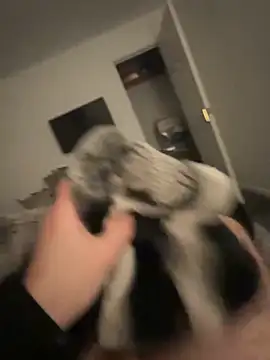 Snapshot of Furdale chatting on 17, 1, 2025 Furdale online show from 17, 1, 2025