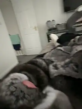 Snapshot of Furdale chatting on 22, 9, 2025 Furdale online show from 22, 9, 2025