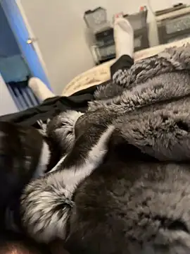 Snapshot of Furdale chatting on 12, 2, 2026 Furdale online show from 12, 2, 2026