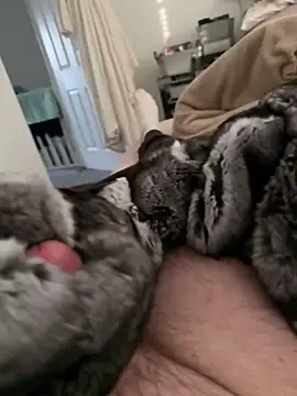 Snapshot of Furdale chatting on 17, 2, 2026 Furdale online show from 17, 2, 2026