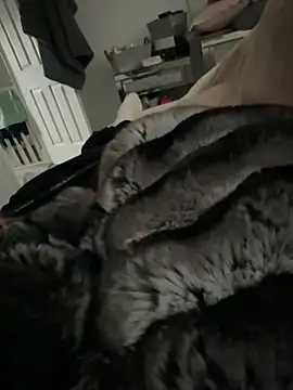 Snapshot of Furdale chatting on 9, 3, 2026 Furdale online show from 9, 3, 2026