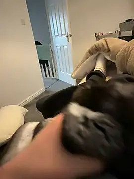 Snapshot of Furdale chatting on 12, 3, 2026 Furdale online show from 12, 3, 2026