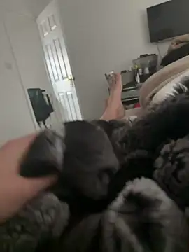 Snapshot of Furdale chatting on 16, 3, 2026 Furdale online show from 16, 3, 2026