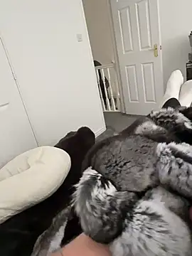 Snapshot of Furdale chatting on 18, 3, 2026 Furdale online show from 18, 3, 2026