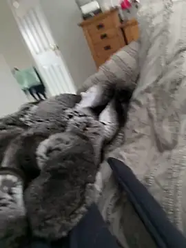 Snapshot of Furdale chatting on 30, 3, 2026 Furdale online show from 30, 3, 2026