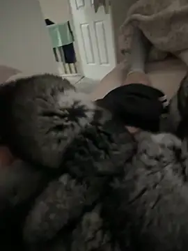 Snapshot of Furdale chatting on 9, 4, 2026 Furdale online show from 9, 4, 2026