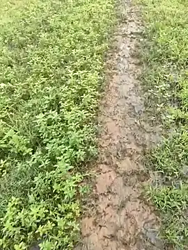 samm1437a online show from 12, 9, 2025