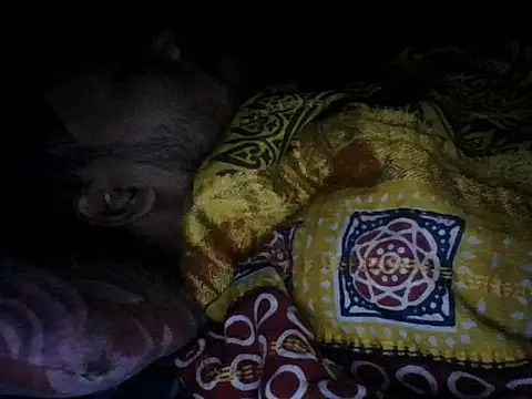 chittagong77 online show from 13, 12, 2025