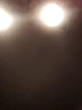 Snapshot of lilianashemale chatting on 1, 11, 2025 lilianashemale online show from 1, 11, 2025