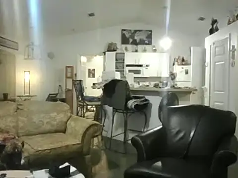 Snapshot of Yankeedave420 chatting on 17, 2, 2025 Yankeedave420 online show from 17, 2, 2025