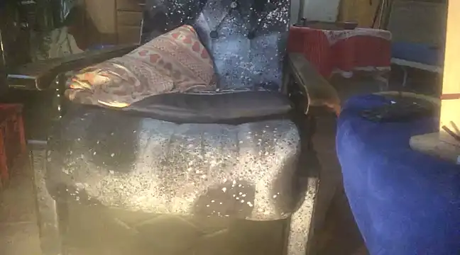 translove online show from 6, 1, 2025