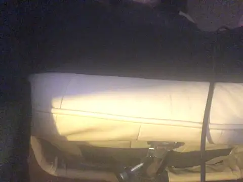 translove online show from 20, 3, 2025