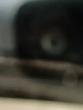 hornydick4you online show from 2, 3, 2025