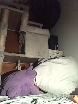 BIG-CkD F online show from 13, 1, 2025