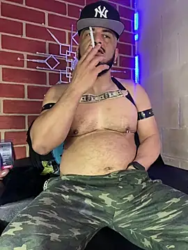 the master foal  online show from 19, 2, 2026