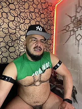 the master foal  online show from 27, 2, 2026