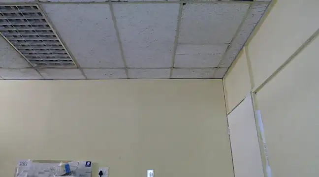 Snapshot of Mydreamgirrl chatting on 13, 2, 2025 Mydreamgirrl online show from 13, 2, 2025