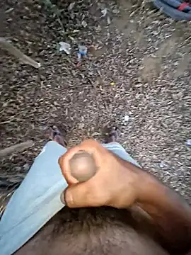 Snapshot of breejs chatting on 29, 9, 2025 breejs online show from 29, 9, 2025