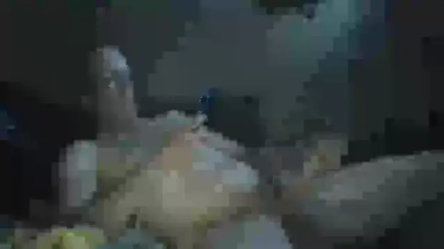 Wyleyxh online show from 23, 9, 2025