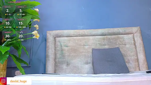 nicol snow online show from 12, 1, 2026