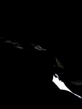 Snapshot of 74bob chatting on 21, 9, 2025 74bob online show from 21, 9, 2025