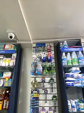 roouse online show from 14, 9, 2025