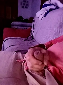 juandi21cm online show from 1, 1, 2025