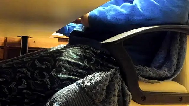 leccaleccafiga online show from 21, 11, 2025