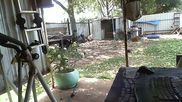 herbie010666 online show from 12, 10, 2025