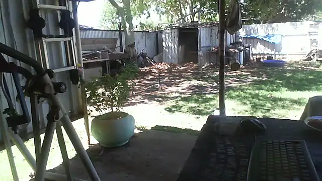 herbie010666 online show from 2, 12, 2025