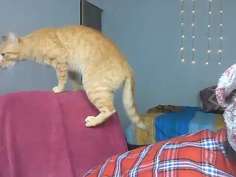 Snapshot of Olivia_Bright chatting on 18, 3, 2026 Olivia Bright online show from 18, 3, 2026