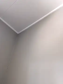 mustang69696 online show from 6, 4, 2026