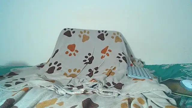 maihton xx online show from 3, 2, 2026