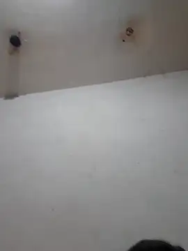 Calamaco07 online show from 25, 2, 2026