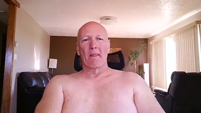 BasicAnt online show from 6, 5, 2026